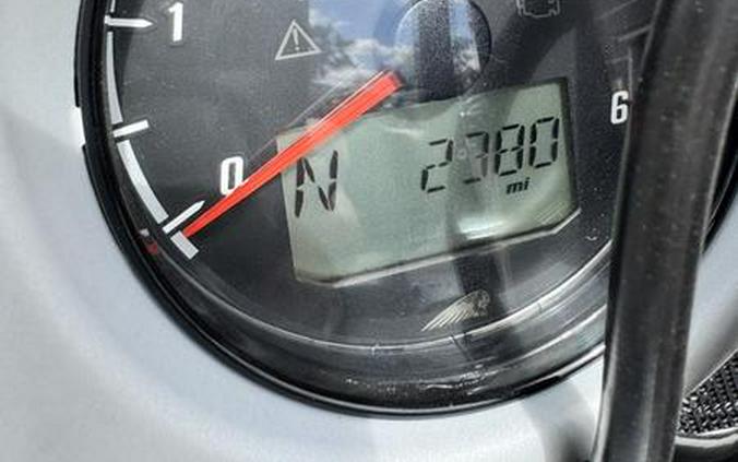 2021 Indian Motorcycle® Roadmaster® Dark Horse® Thunder Black Smoke