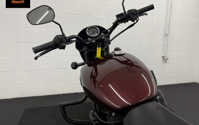 2019 Harley-Davidson Street® 500