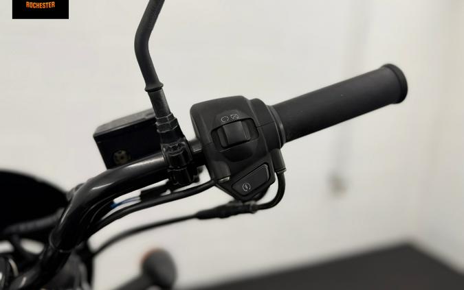 2019 Harley-Davidson Street® 500
