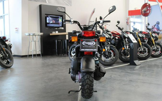 2024 Honda Ruckus Base