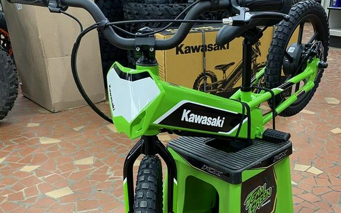 2023 Kawasaki Elektrode™