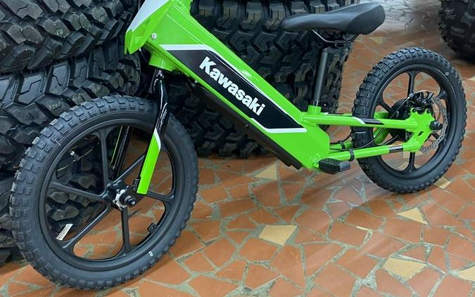 2023 Kawasaki Elektrode™