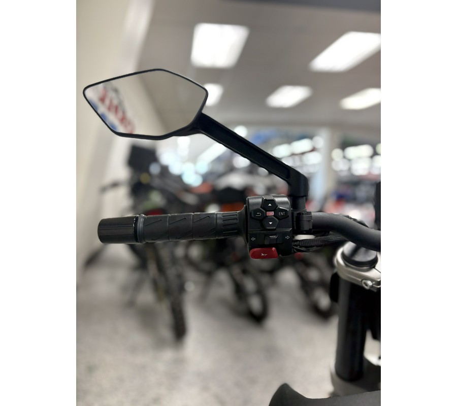 2025 CFMOTO 450NK - C1381