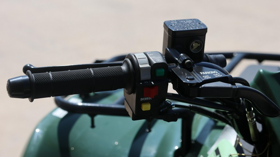 2025 KAWASAKI BRUTE FORCE 300