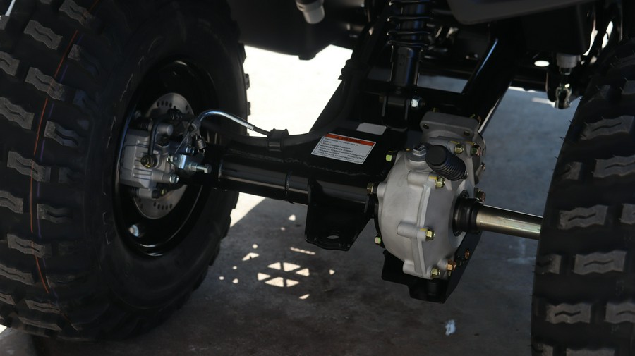 2025 KAWASAKI BRUTE FORCE 300