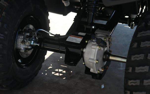 2025 KAWASAKI BRUTE FORCE 300