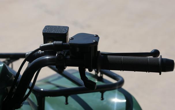 2025 KAWASAKI BRUTE FORCE 300