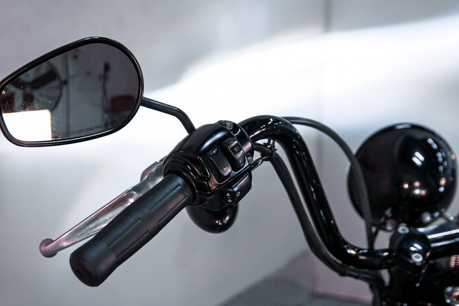 2009 Harley-Davidson Softail® Cross Bones™