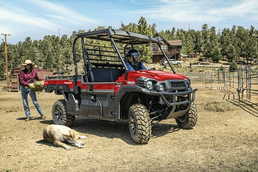 2020 Kawasaki Mule PRO-FX EPS LE