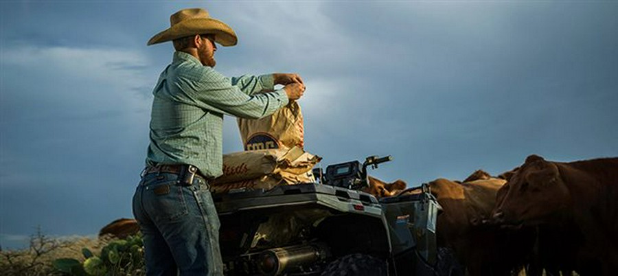 2023 Polaris Sportsman 450 HO Base