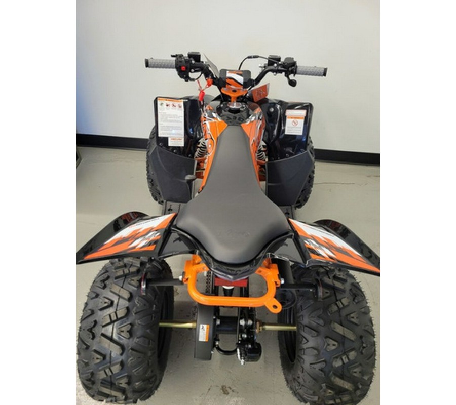 2026 Kayo PREDATOR 110