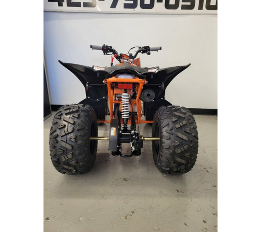 2026 Kayo PREDATOR 110