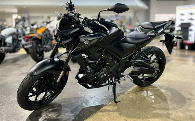 2024 Yamaha MT 03