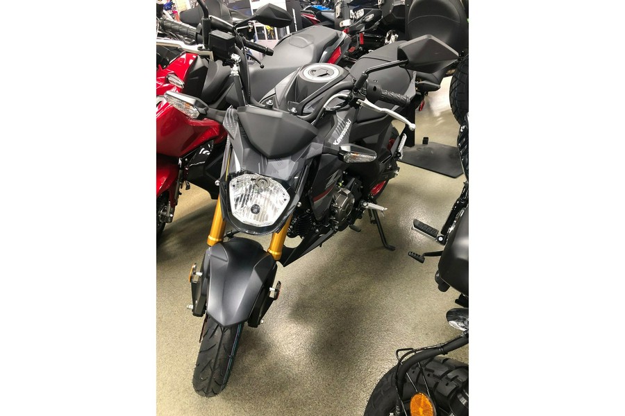 2024 Kawasaki Z125 PRO Base