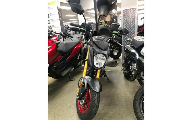 2024 Kawasaki Z125 PRO Base