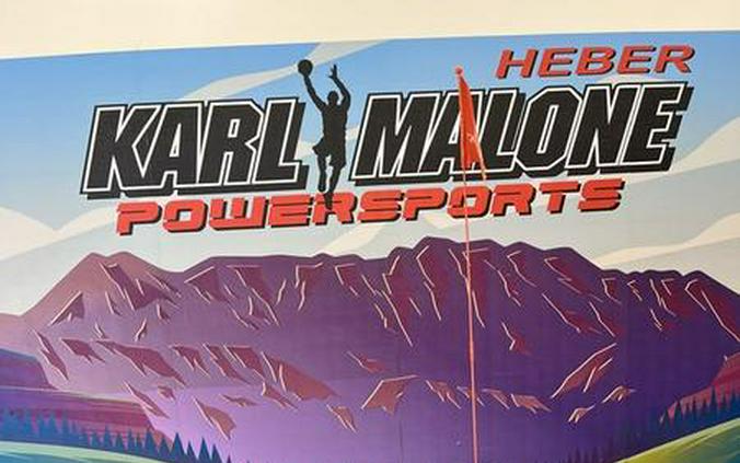 2024 CFMOTO CFORCE EV110