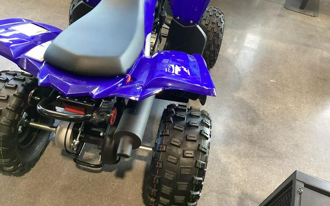 2023 Yamaha Raptor 90