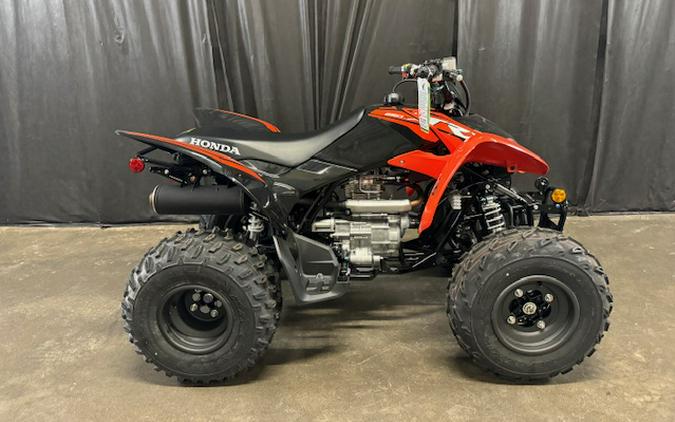 2024 Honda TRX250X