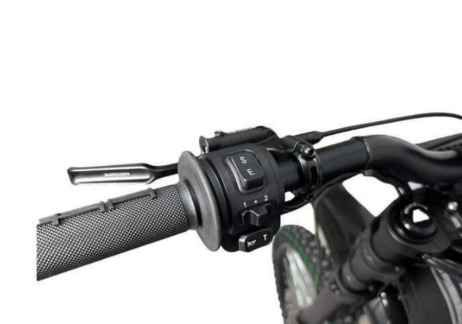 2025 ERIDE PRO SS 2.0