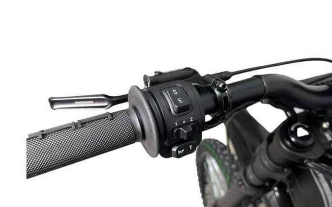 2025 ERIDE PRO SS 2.0