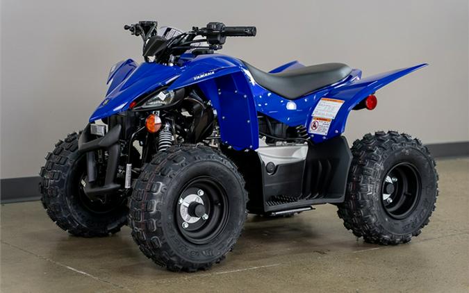 2025 Yamaha Raptor 110