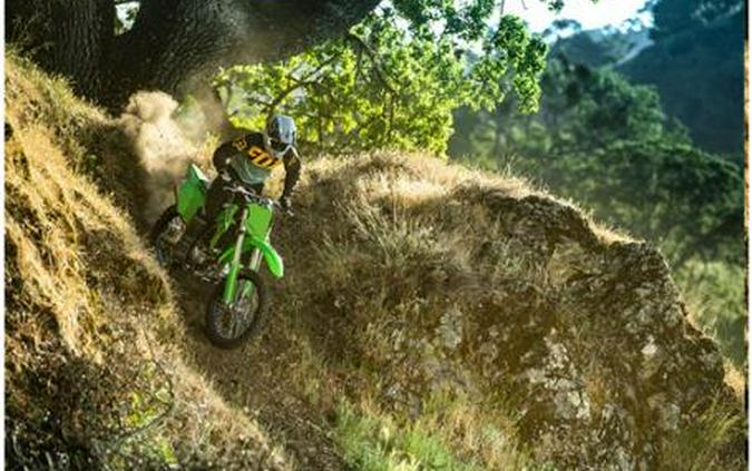 2024 Kawasaki [Arriving Soon] KLX® 300R