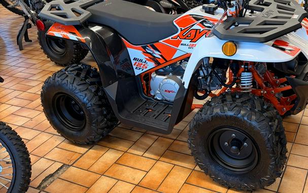 2026 Kayo Bull 125