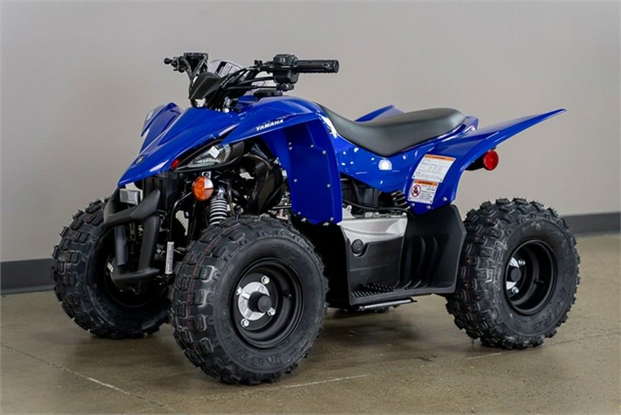 2025 Yamaha Raptor 110