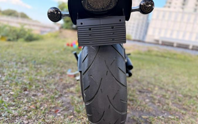 2006 Harley-Davidson Softail® Night Train®