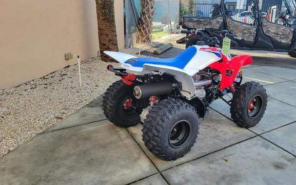 2026 Honda® TRX250X