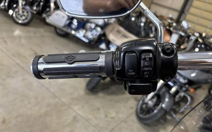 2010 Harley-Davidson® FLSTN - Softail® Deluxe