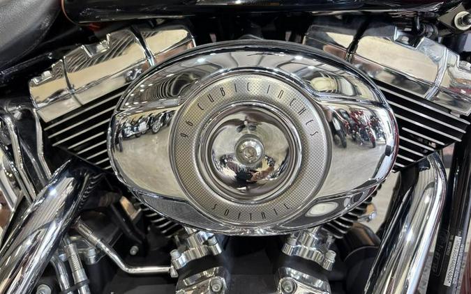 2010 Harley-Davidson® FLSTN - Softail® Deluxe