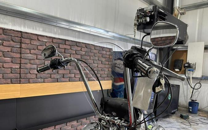 2010 Harley-Davidson® FLSTN - Softail® Deluxe