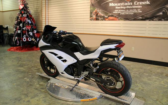2013 Kawasaki Ninja 300