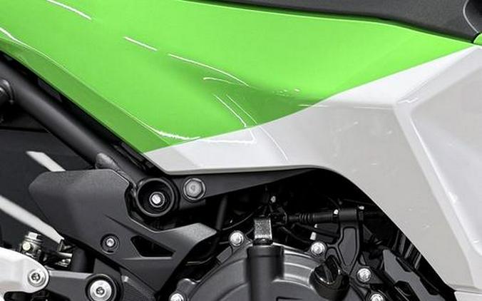 2024 Kawasaki Ninja® 500 SE 40th Anniversary Edition ABS