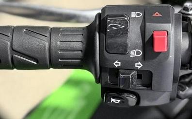 2024 Kawasaki Ninja® 500 SE 40th Anniversary Edition ABS