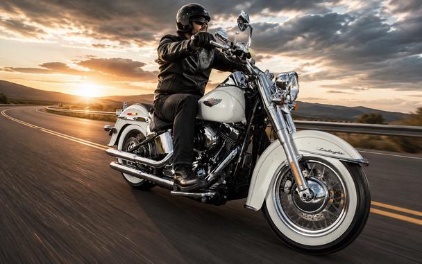 2015 HARLEY-DAVIDSON FLSTN - F019503
