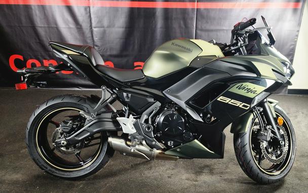 2024 KAWASAKI NINJA 650 ABS - FAD3289