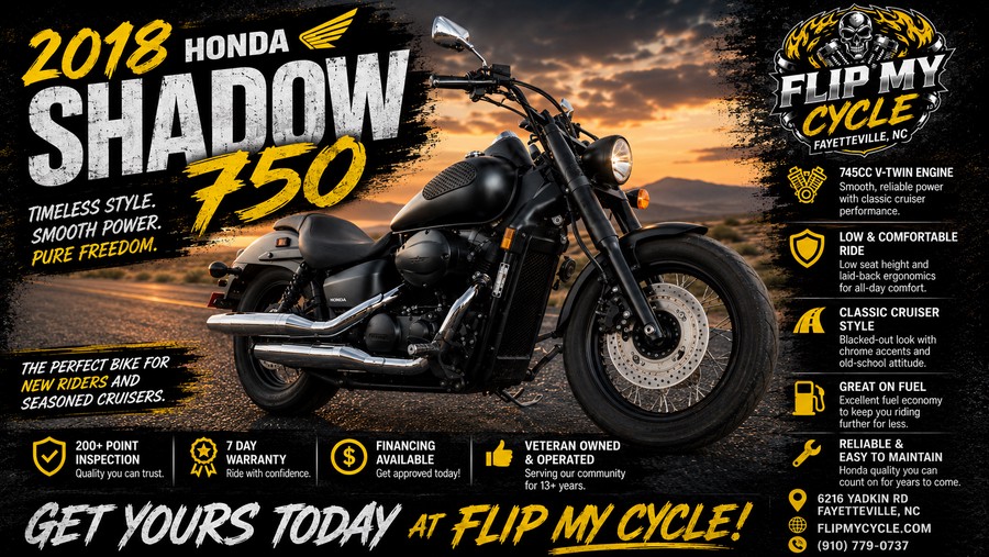 2018 HONDA VT750C2B (SHADOW PHANTOM) - F800102