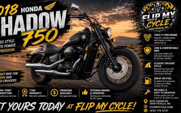 2018 HONDA VT750C2B (SHADOW PHANTOM) - F800102