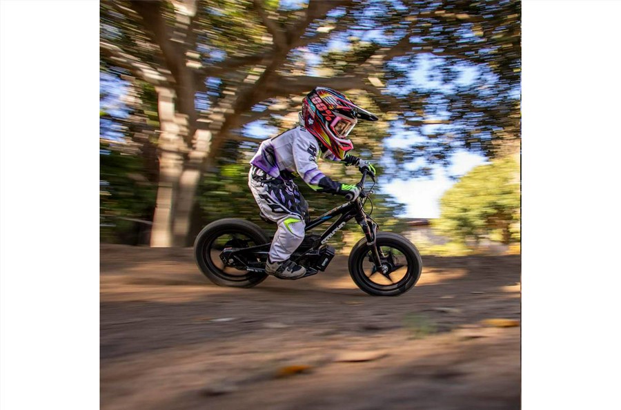 2025 STACYC STACYC 16eDrive Elite 36V