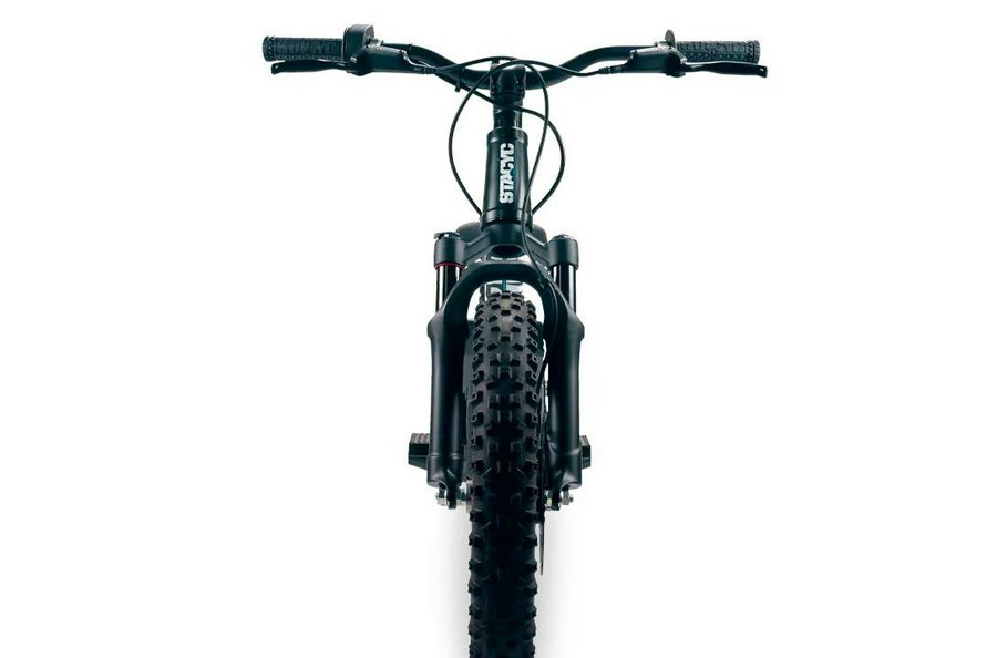 2025 STACYC STACYC 16eDrive Elite 36V