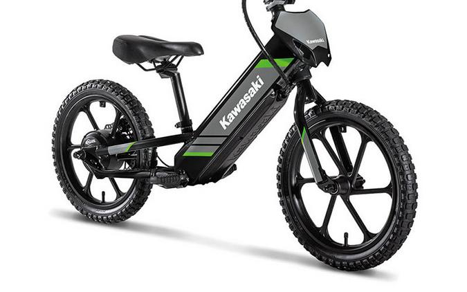 2025 Kawasaki Elektrode® 16