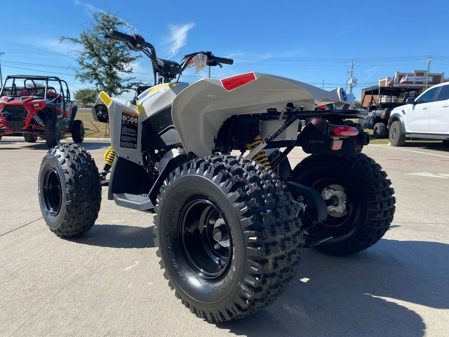 2026 Can-Am® Renegade 110 EFI