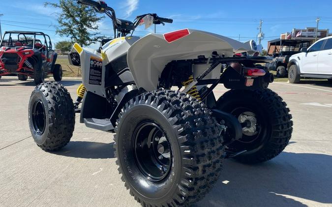 2026 Can-Am® Renegade 110 EFI