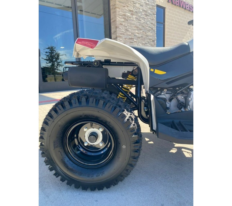 2026 Can-Am® Renegade 110 EFI