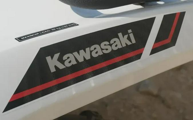 New 2025 KAWASAKI BRUTE FORCE 450 4X4
