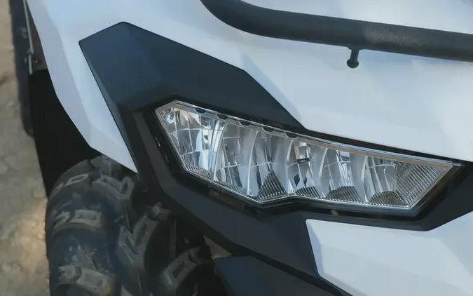 New 2025 KAWASAKI BRUTE FORCE 450 4X4