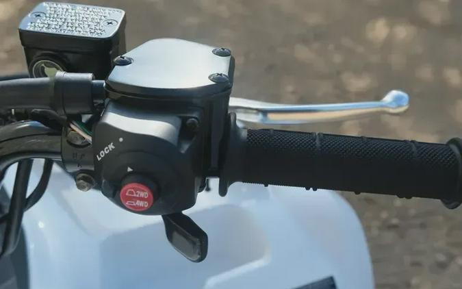 New 2025 KAWASAKI BRUTE FORCE 450 4X4