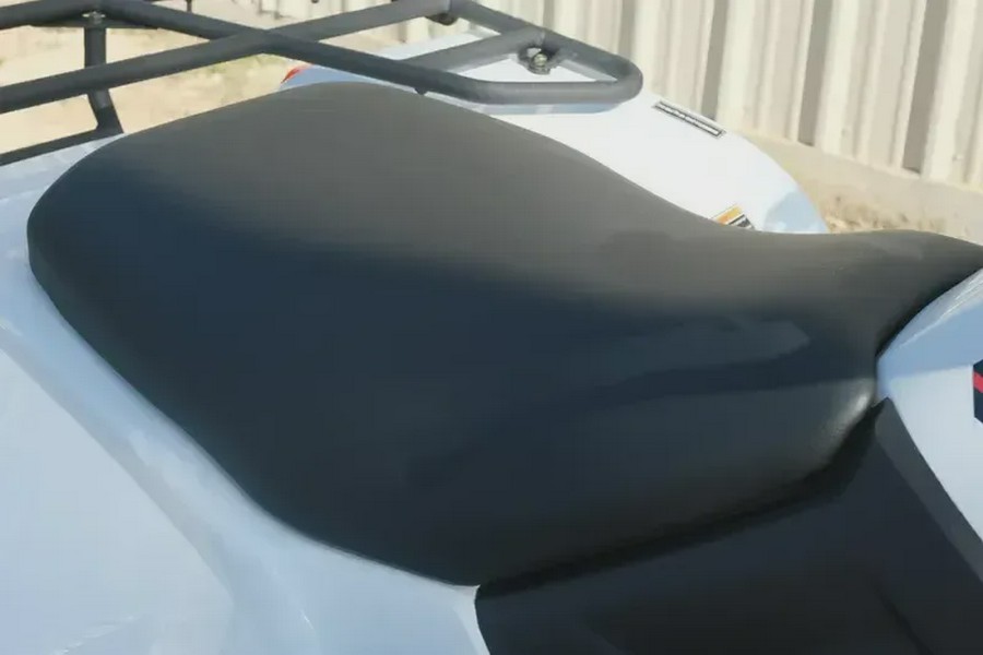 New 2025 KAWASAKI BRUTE FORCE 450 4X4